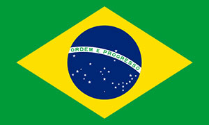 Top Export Country flags