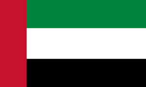 Top Export Country flags