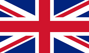 Top Export Country flags
